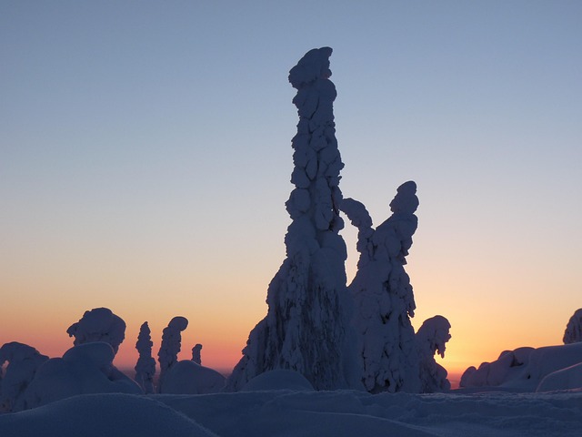 Lapland Snowmobile